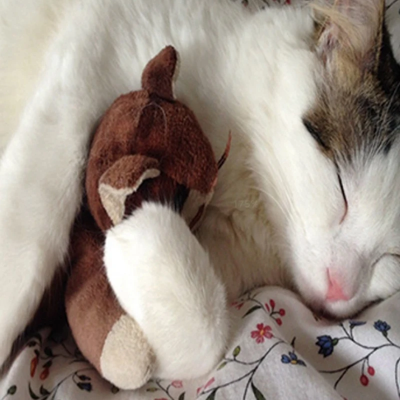 Cute Cat Print Decorative Cushions Pillowcase Cushion Cover Throw Pillow Sofa Living Room Decoration Pillowcover
Cute Cat Print Decorative Cushions Pillowcase Cushion Cover Throw Pillow Sofa Living Room Decoration Pillowcover