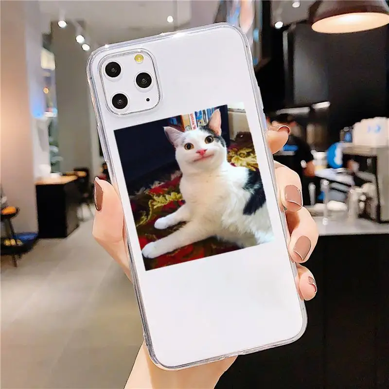 Cute animal cat art design painting Phone Case Transparent soft For iphone 5 5s 5c se 6 6s 7 8 11 12 plus mini x xs xr pro max
Cute animal cat art design painting Phone Case Transparent soft For iphone 5 5s 5c se 6 6s 7 8 11 12 plus mini x xs xr pro max