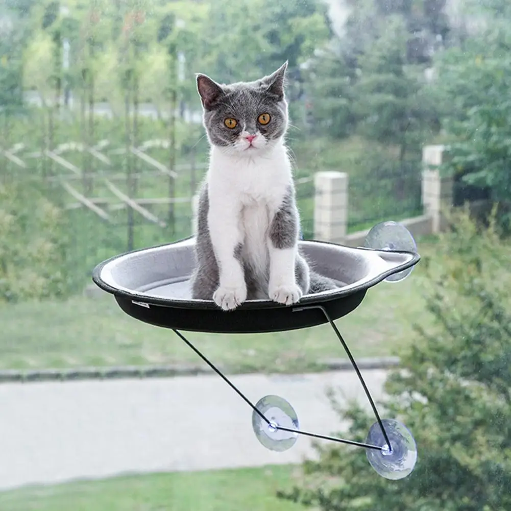 Pet Cat Window Mount Hammock Suction Cups Warm Soft Bed Shelf Cage Rest Seat Climbing Toys Cat Lounger
Pet Cat Window Mount Hammock Suction Cups Warm Soft Bed Shelf Cage Rest Seat Climbing Toys Cat Lounger