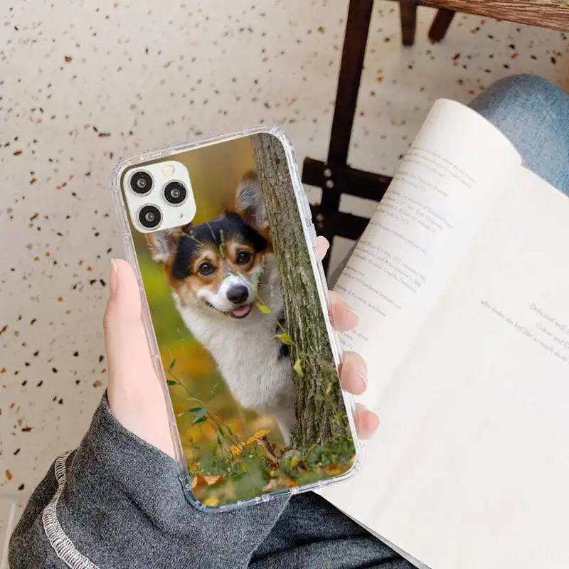 Corgi cute dog animal Phone Case Transparent soft For iphone 5 5s 5c se 6 6s 7 8 11 12 plus mini x xs xr pro max
Corgi cute dog animal Phone Case Transparent soft For iphone 5 5s 5c se 6 6s 7 8 11 12 plus mini x xs xr pro max