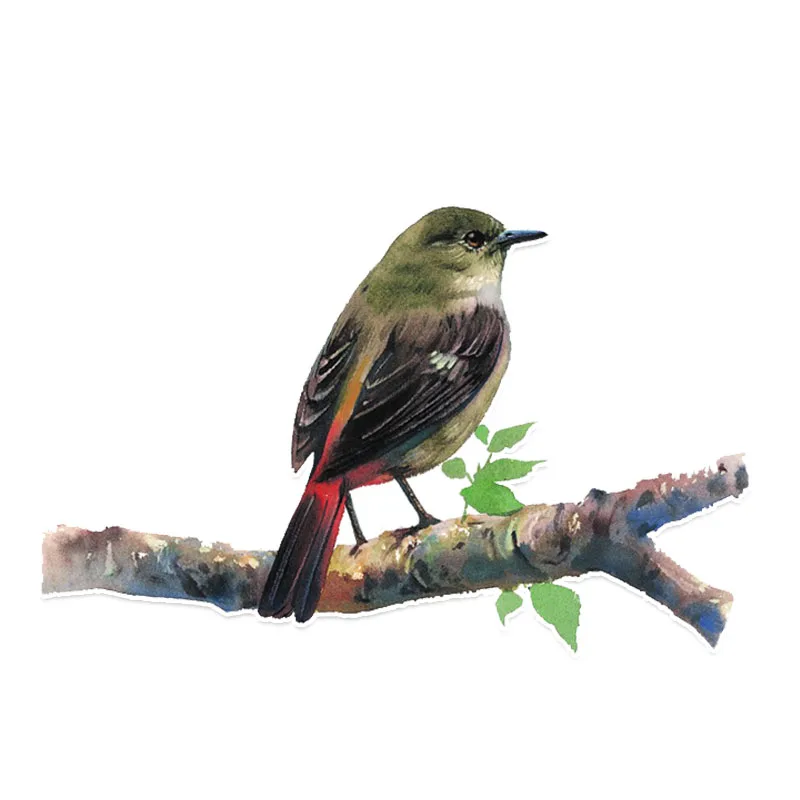 JuYouHui Exterior Accessories Decal Interesting Unique Birds Car Sticker Laptop Vinyl Decals Motorcycle Windshield PVC 16cm
JuYouHui Exterior Accessories Decal Interesting Unique Birds Car Sticker Laptop Vinyl Decals Motorcycle Windshield PVC 16cm