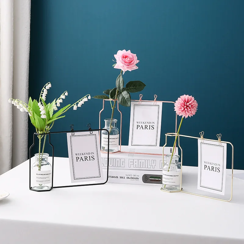 Nordic Ins Wrought Iron Vase Photo Frame Ornaments Hydroponic Glass Vase Simple Desktop Simulation Rose Light Luxury Decoration
Nordic Ins Wrought Iron Vase Photo Frame Ornaments Hydroponic Glass Vase Simple Desktop Simulation Rose Light Luxury Decoration