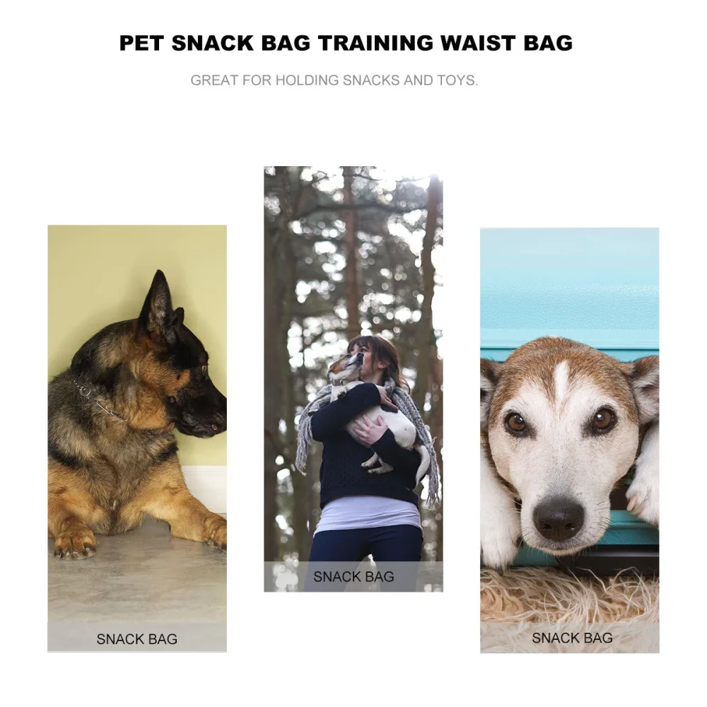 Dog Treat Pouch Training Bag for Carrying Snacks and Toys Professional Quality Pouch (Black)
Dog Treat Pouch Training Bag for Carrying Snacks and Toys Professional Quality Pouch (Black)