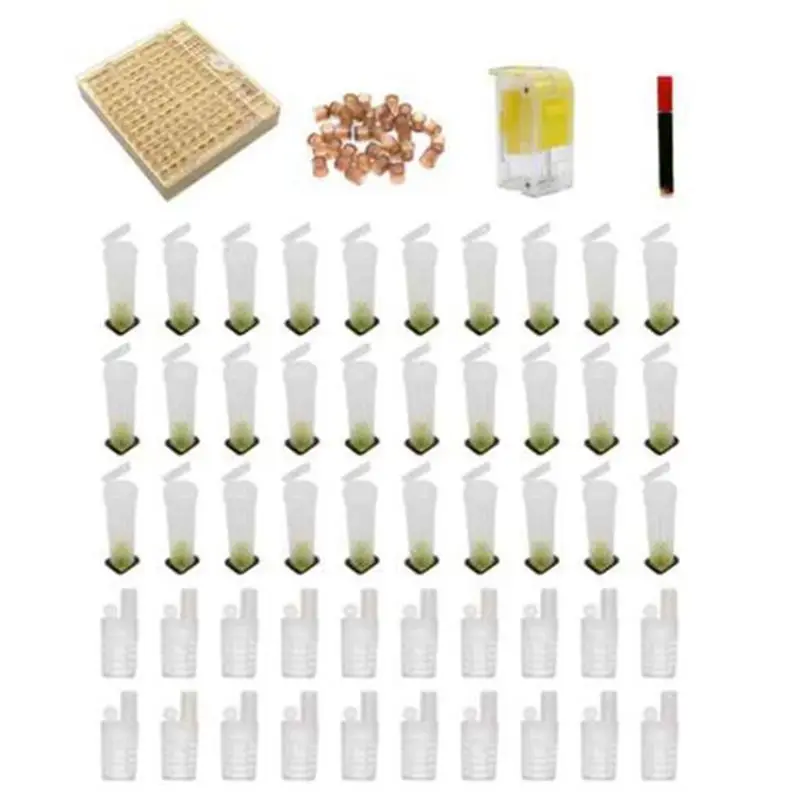 Beekeeper Tool Set Cell Cups Queen Rearing System Queen Bee Marker Beekeeping Equipment Bee Keeping 67JB
Beekeeper Tool Set Cell Cups Queen Rearing System Queen Bee Marker Beekeeping Equipment Bee Keeping 67JB