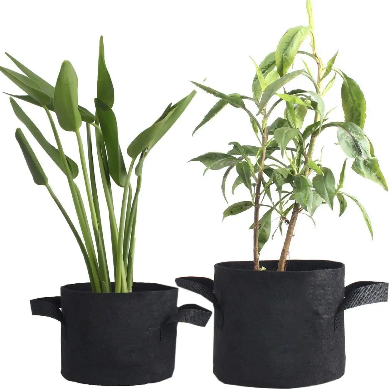 5Pcs 4.5gallon Big Plant Flower Grow Bags Pot Home Garden Tools Potato Strawberry Fabric Vegetable Jardin Gardening Growing Pots
5Pcs 4.5gallon Big Plant Flower Grow Bags Pot Home Garden Tools Potato Strawberry Fabric Vegetable Jardin Gardening Growing Pots