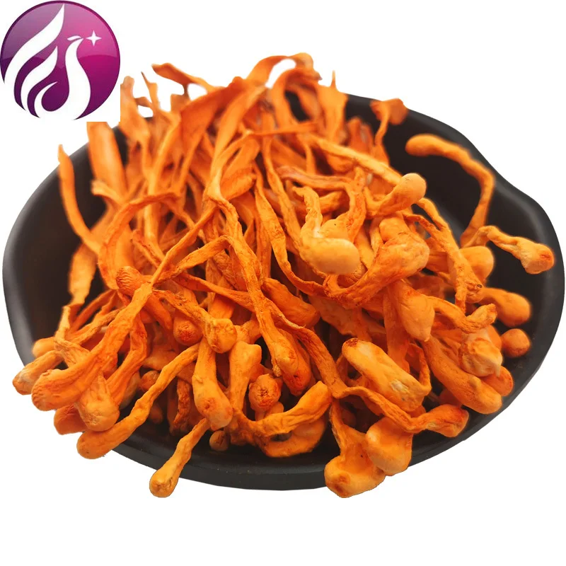 Cordyceps Flower Dry Goods Golden Cordyceps Militaris Soup Material Cordyceps Flower
Cordyceps Flower Dry Goods Golden Cordyceps Militaris Soup Material Cordyceps Flower