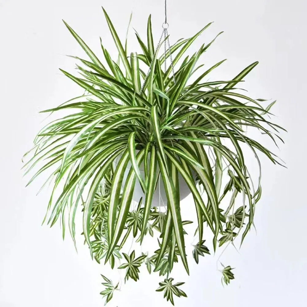 Artificial Plant Simulation Chlorophytum Wall Orchid Rattan Wall Hanging Display Fake Greenery Plant For Living Room Home Decor
Artificial Plant Simulation Chlorophytum Wall Orchid Rattan Wall Hanging Display Fake Greenery Plant For Living Room Home Decor