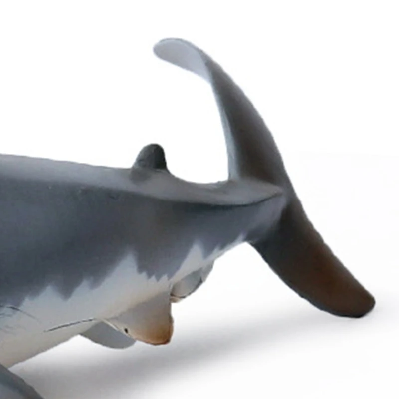 Shark Shaped Toy Realistic Motion Simulation Animal Model for Kids Children
Shark Shaped Toy Realistic Motion Simulation Animal Model for Kids Children