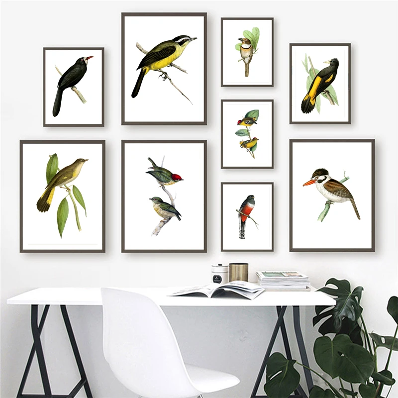 Vintage Birds Wall Art Poster Colored Tropical Birdseed Canvas Prints Songbird Fabric Illustration Artwork
Vintage Birds Wall Art Poster Colored Tropical Birdseed Canvas Prints Songbird Fabric Illustration Artwork