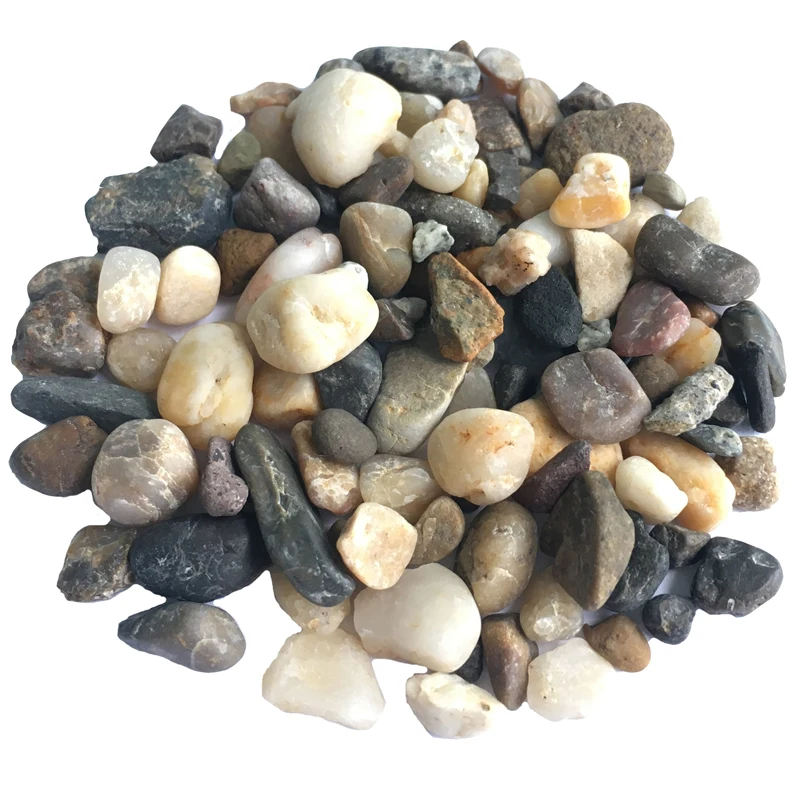 DIY Terrarium and Succulent Planter Kit Includes Growing Soil, Moss,Charcoal,Pebbles-For Cactus Bonsai Succulent Plant Soil Mix
DIY Terrarium and Succulent Planter Kit Includes Growing Soil, Moss,Charcoal,Pebbles-For Cactus Bonsai Succulent Plant Soil Mix