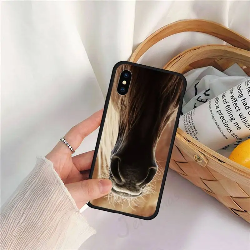 Frederik The Great beauty horse Phone Case for iPhone 11 12 pro XS MAX 8 7 6 6S Plus X 5S SE 2020 XR
Frederik The Great beauty horse Phone Case for iPhone 11 12 pro XS MAX 8 7 6 6S Plus X 5S SE 2020 XR