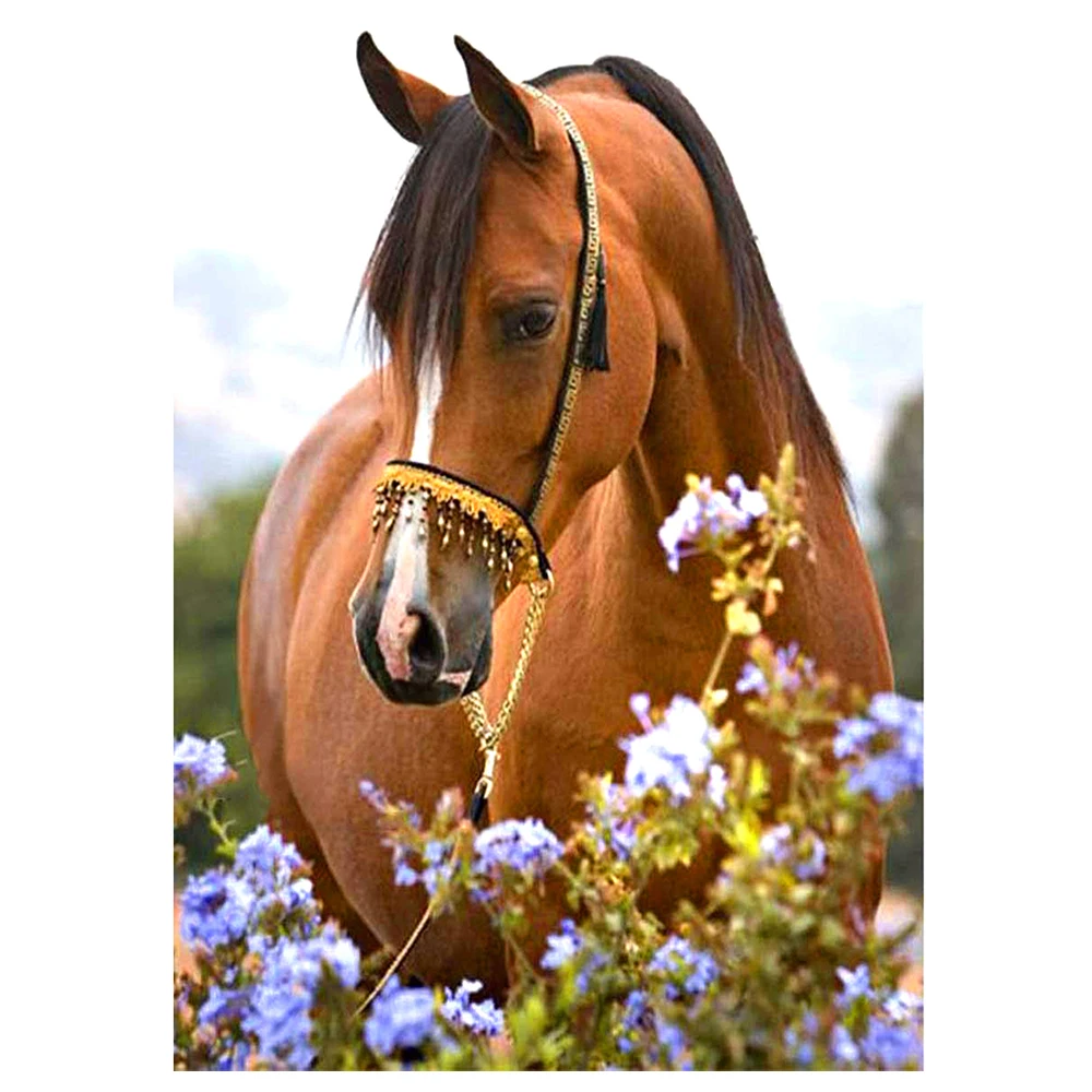 Eniref DIY Full Diamond Painting 5D Round Diamond Mosaic Embroidery Cross Stitch Kits Art Horse Picture Home Decor Gifts
Eniref DIY Full Diamond Painting 5D Round Diamond Mosaic Embroidery Cross Stitch Kits Art Horse Picture Home Decor Gifts