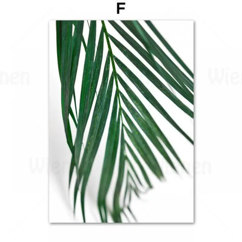 Nordic Posters and Prints Fresh Photos Green Tropical Plants Cactus Palm Banana Leaf Wall Art Canvas Painting Home Decoration
Nordic Posters and Prints Fresh Photos Green Tropical Plants Cactus Palm Banana Leaf Wall Art Canvas Painting Home Decoration