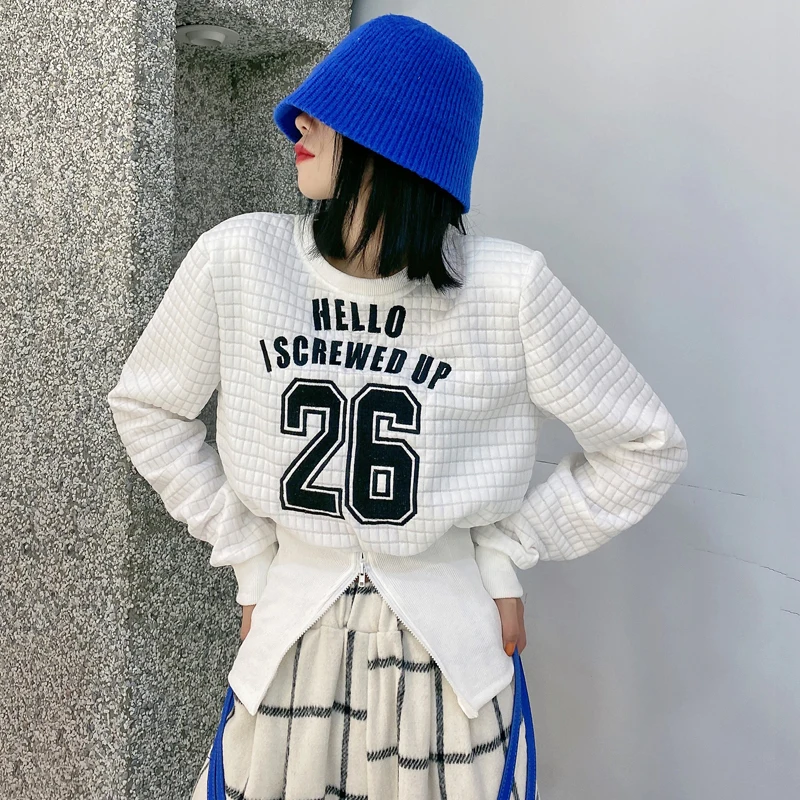 High Street Ladies Long Sleeve Sweatshirt Fashion Digital Embroidery Harajuku Plaid Clothing Loose Zipper Pullover Spring Female
High Street Ladies Long Sleeve Sweatshirt Fashion Digital Embroidery Harajuku Plaid Clothing Loose Zipper Pullover Spring Female