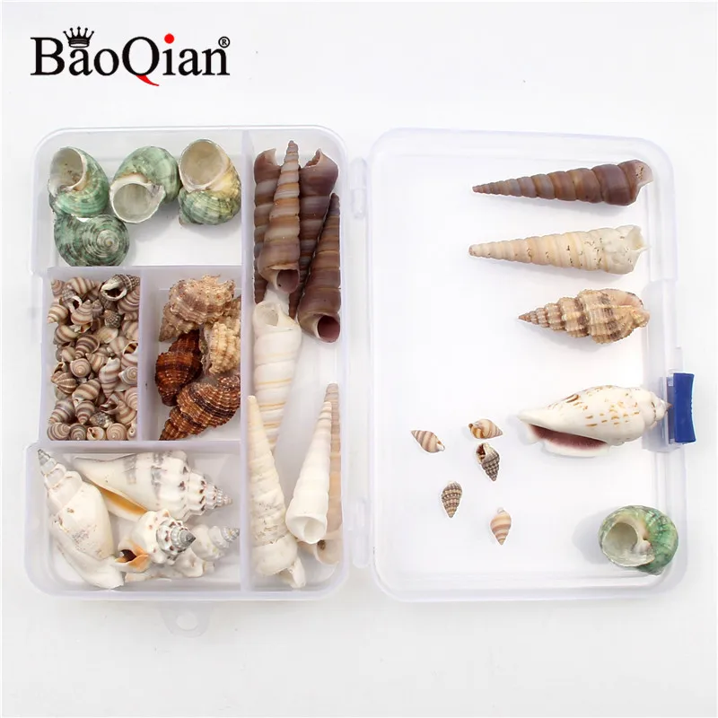 125 шт./компл. натуральный морской ракушка Coquillage пляжный Декор Ремесло для Diy украшения дома аквариум ракушка украшение
125 шт./компл. натуральный морской ракушка Coquillage пляжный Декор Ремесло для Diy украшения дома аквариум ракушка украшение
