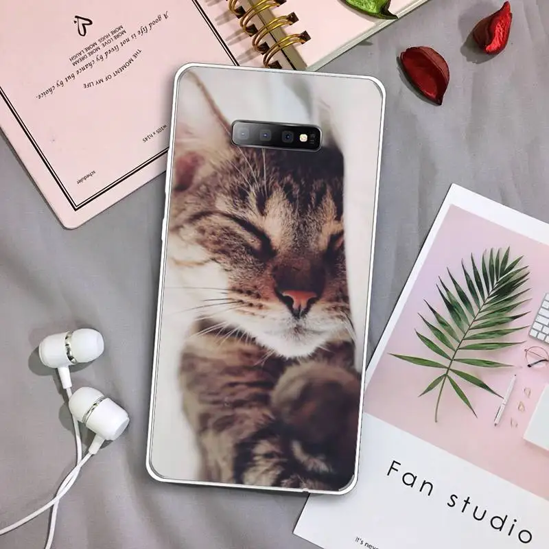 Phone Case Samsung Galaxy A 71 21s S note 8 9 10 plus 20 ultra fruit cat animal flowers universe marble beach
Phone Case Samsung Galaxy A 71 21s S note 8 9 10 plus 20 ultra fruit cat animal flowers universe marble beach
