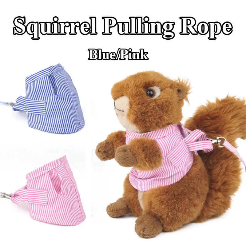 Small Pet Traction Rope Pink Blue Universal Striped Chest Strap Pet Supplies Convenient Simple Small Squirrel Chest Back
Small Pet Traction Rope Pink Blue Universal Striped Chest Strap Pet Supplies Convenient Simple Small Squirrel Chest Back