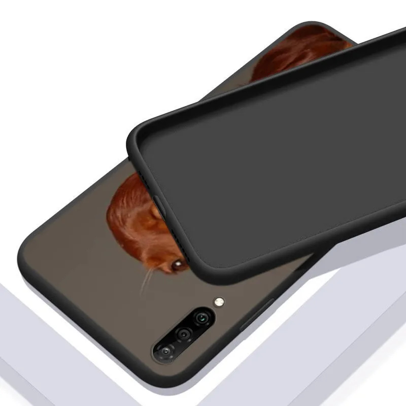 Irish Snow Dog For Samsung Galaxy A90 A80 A70 A70S A60 A50 A40 A30 A50S A20S A20E A2Core A10 A10E A10S Phone Case
Irish Snow Dog For Samsung Galaxy A90 A80 A70 A70S A60 A50 A40 A30 A50S A20S A20E A2Core A10 A10E A10S Phone Case