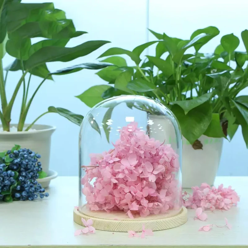 Glass Cover for Flower Succulent Plants DIY Micro Landscape Transparent Decoration Display Stand Table Decor Desktop Ornaments
Glass Cover for Flower Succulent Plants DIY Micro Landscape Transparent Decoration Display Stand Table Decor Desktop Ornaments