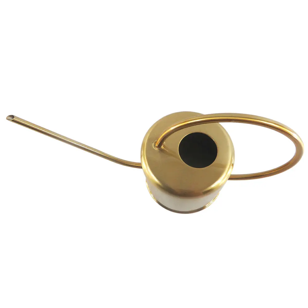 Outdoor Sprinkler Mini Stainless Steel Portable Garden Handle Water Bottle 1300ml Practical Kettle Watering Can Gardening
Outdoor Sprinkler Mini Stainless Steel Portable Garden Handle Water Bottle 1300ml Practical Kettle Watering Can Gardening