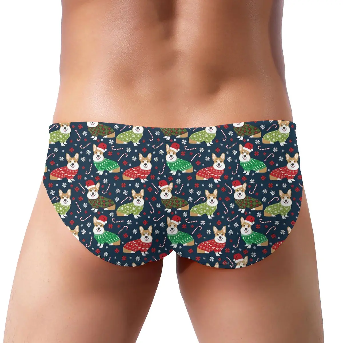 

Men's Triangular Swimwear Low Waist Briefs Sexy Patchwork Mens Bikini Dog Cute Welsh Corgi Puppy Swim Pool Trunks