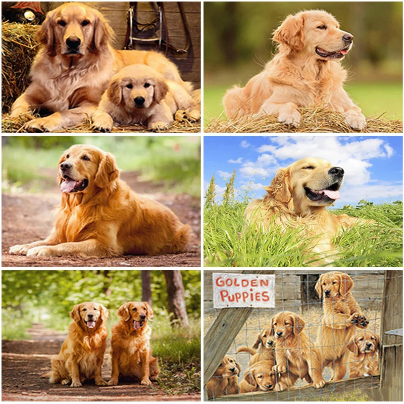 5D DIY Diamond Embroidery Dog Cross Stitch Kit Full Square/Round Diamond Painting Animal Mosaic Rhinestone Pictures Home Decor
5D DIY Diamond Embroidery Dog Cross Stitch Kit Full Square/Round Diamond Painting Animal Mosaic Rhinestone Pictures Home Decor