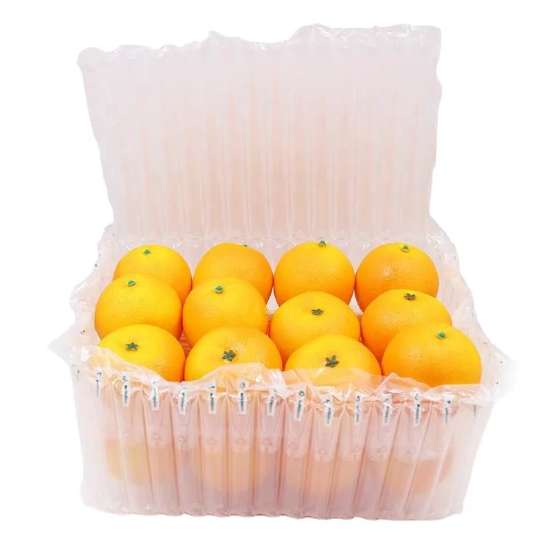 Customized Fruit Air Column Roll For Box Packaging Packing Buffer Air Column Package Film Transport Air Bag Filler Bubble Roll
Customized Fruit Air Column Roll For Box Packaging Packing Buffer Air Column Package Film Transport Air Bag Filler Bubble Roll