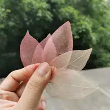 20pcs,Nature Real Touch Dried Leaf Vein Petals,Pressed plant DIY Candles Bookmark Gift Card,Flores wedding home decoration