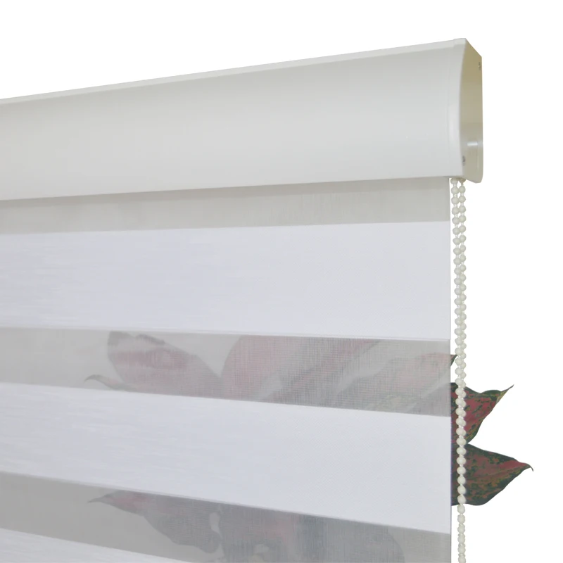 Quality Zebra Blinds For Windows Dual Layer Fabric Day & Night Roller Shades for Livingroom Meeting Room Bedroom Custom Made
Quality Zebra Blinds For Windows Dual Layer Fabric Day & Night Roller Shades for Livingroom Meeting Room Bedroom Custom Made
