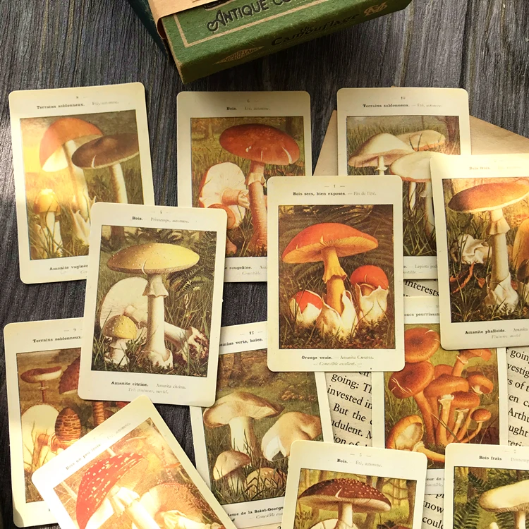 12pcs Vintage Mushroom Stickers English Illustrated Book TN Decoration Photo Album Diary Sticker Stationery Material Junkjournal
12pcs Vintage Mushroom Stickers English Illustrated Book TN Decoration Photo Album Diary Sticker Stationery Material Junkjournal