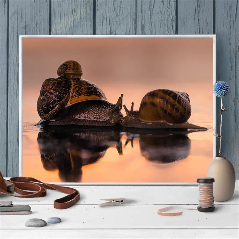 Набор для алмазной живописи Pastroal Snails 5D набор сделай сам с рисунком животных