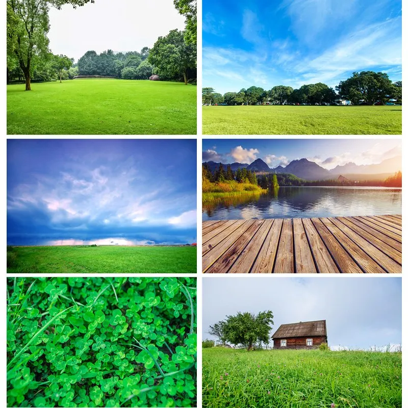 Natural Scenery Photography Background Green grass Forest Flower Landscape Travel Photo Backdrops Studio Props 21128 CTCD-04
Natural Scenery Photography Background Green grass Forest Flower Landscape Travel Photo Backdrops Studio Props 21128 CTCD-04