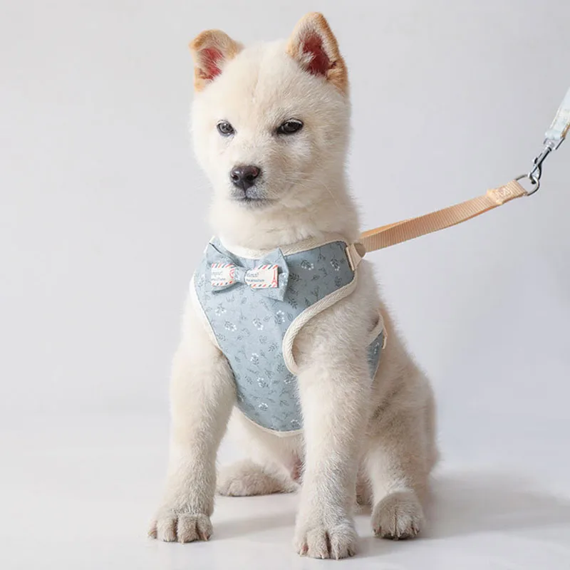 Adjustable Dog Leash Cat Harness Soft Small Dog Chest Strap Training Walking Pet Harness Breathable Collar Puppy Products
Adjustable Dog Leash Cat Harness Soft Small Dog Chest Strap Training Walking Pet Harness Breathable Collar Puppy Products
