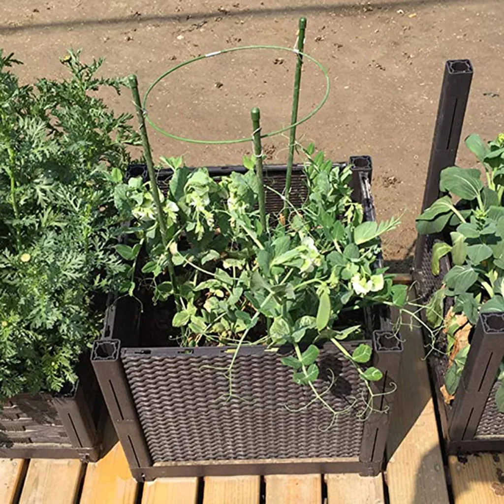 Plant Support Ring Adjustable Plant Trellises Garden Basket Plant Fixed Climbing Vegetable Trellis Plant Support Garden Supplies
Plant Support Ring Adjustable Plant Trellises Garden Basket Plant Fixed Climbing Vegetable Trellis Plant Support Garden Supplies