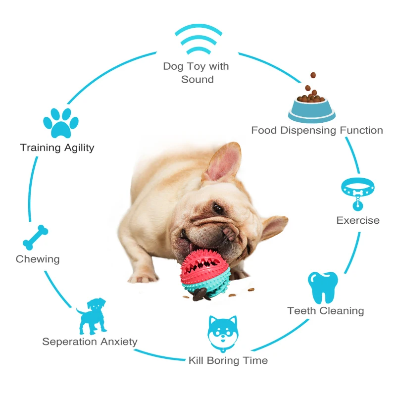 Pet Dog Toys Silicon Suction Cup Tug Dog Toy Dogs Push Ball Toy Pet Tooth Cleaning Dog Toothbrush for Puppy Large Dog Biting Toy
Pet Dog Toys Silicon Suction Cup Tug Dog Toy Dogs Push Ball Toy Pet Tooth Cleaning Dog Toothbrush for Puppy Large Dog Biting Toy