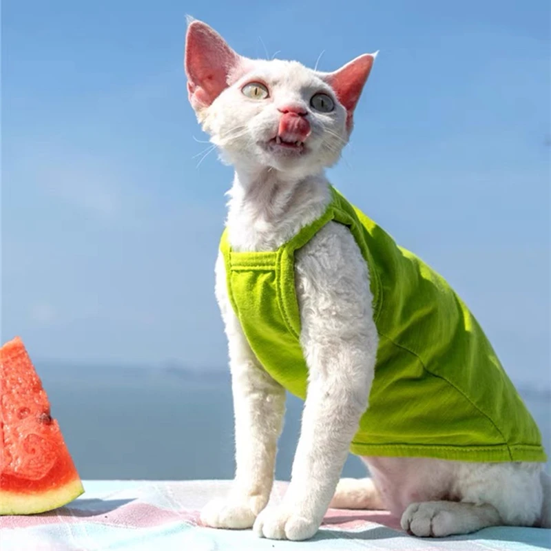 Cat Clothes Summer Luxury Pet Vest Cotton Hairless Kitten Sleeveless T Shirt Puppy Small Dogs Clothing For Cats Sphinx
Cat Clothes Summer Luxury Pet Vest Cotton Hairless Kitten Sleeveless T Shirt Puppy Small Dogs Clothing For Cats Sphinx
