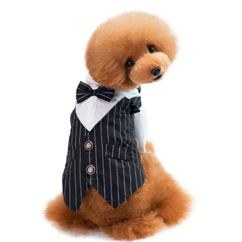 Cute Dog Clothes Vest Dress Custom Shirt Coat Clothing Cotton Soft Comfortable Pet Supplies for Big Small Dog
Cute Dog Clothes Vest Dress Custom Shirt Coat Clothing Cotton Soft Comfortable Pet Supplies for Big Small Dog