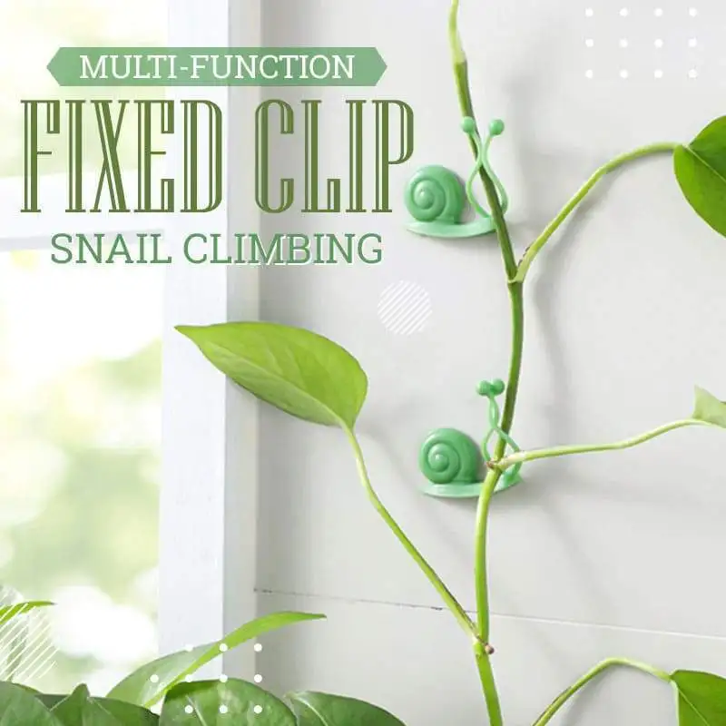 10pcs Invisible Wall Rattan Clamp Clip Plant Climbing Snail shape Wall Vines Fixture Wall Sticky Hook Holder Buckle Hook Garden
10pcs Invisible Wall Rattan Clamp Clip Plant Climbing Snail shape Wall Vines Fixture Wall Sticky Hook Holder Buckle Hook Garden
