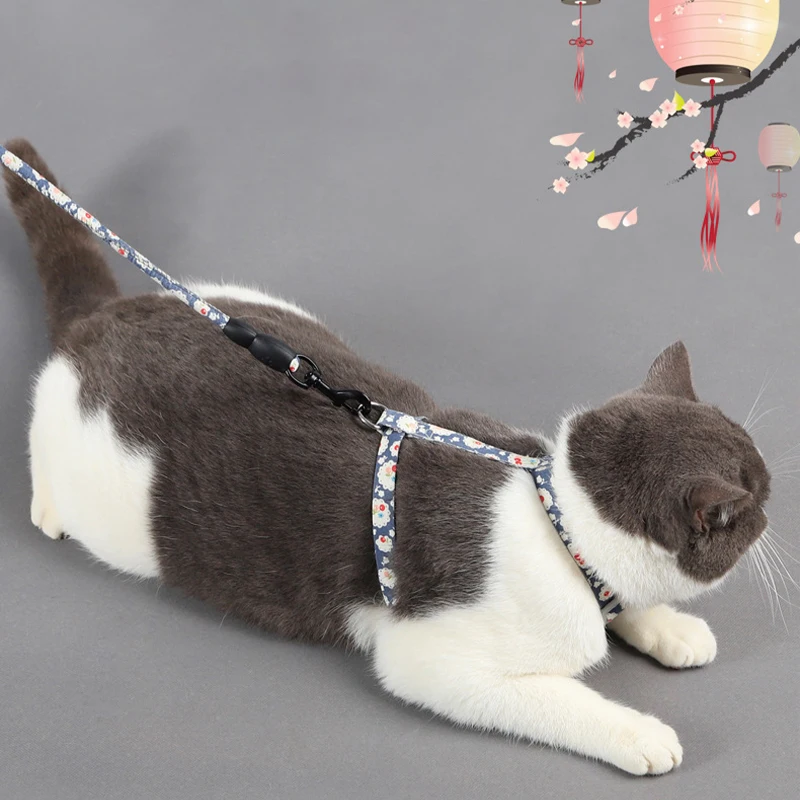 Round Rope Traction Belt Cat Collars Leads Harness Fashion Accessories Kittens Pets for Cats Pet Products Collars|-f-| Harnesses
Round Rope Traction Belt Cat Collars Leads Harness Fashion Accessories Kittens Pets for Cats Pet Products Collars|-f-| Harnesses