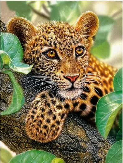 Diamond embroidery leopard 5d diamond painting cross stitch kits Full round rhinestones diy diamond mosaic animal room
Diamond embroidery leopard 5d diamond painting cross stitch kits Full round rhinestones diy diamond mosaic animal room