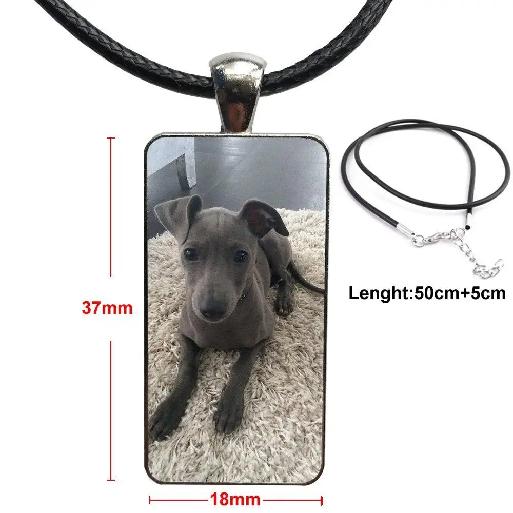 For Women Girl Gift I Love My Whippet Dog Puppies Glass Cabochon Pendant Necklace Rectangle Fashion Necklace
For Women Girl Gift I Love My Whippet Dog Puppies Glass Cabochon Pendant Necklace Rectangle Fashion Necklace