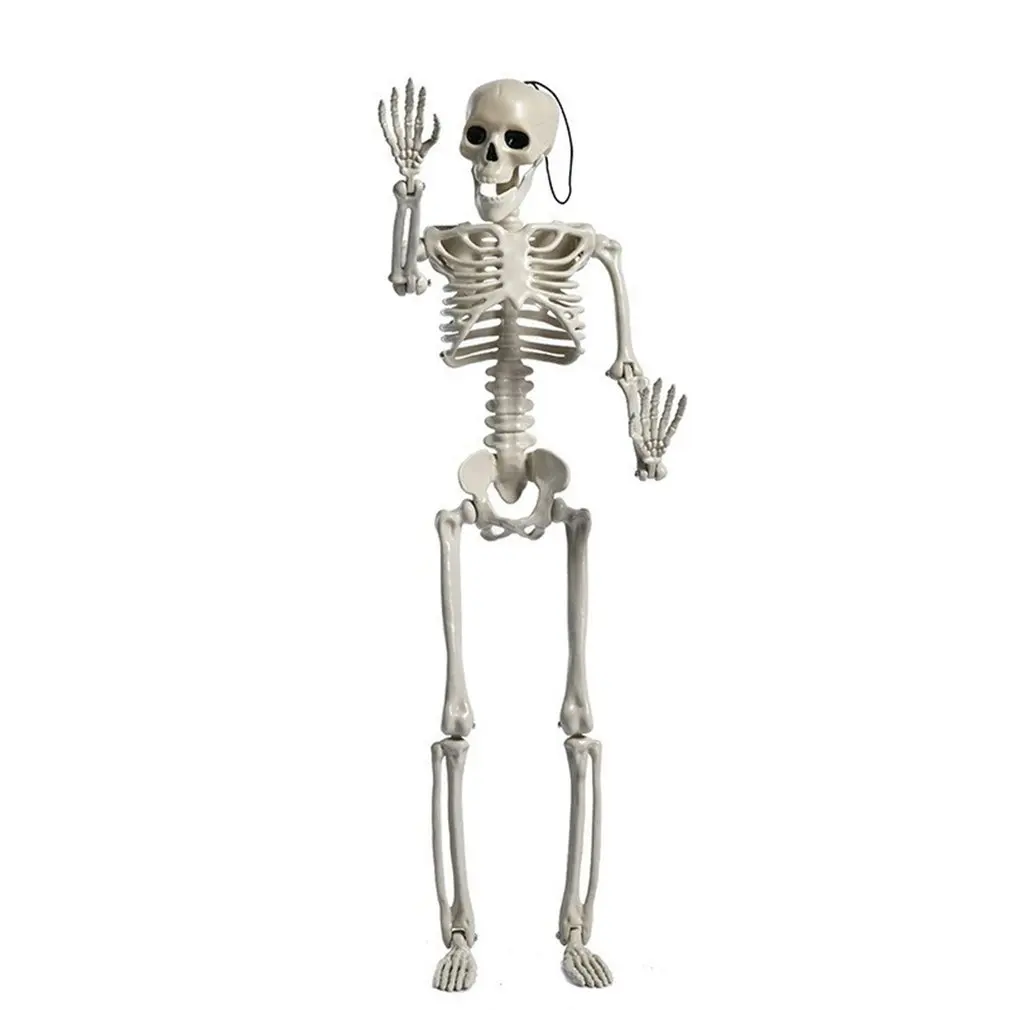 

Украшение на Хэллоуин, полный каркас тела, пластиковая кость с суставами для позы, скелет, реквизит для фото, жуткая сцена, сувениры для вече...