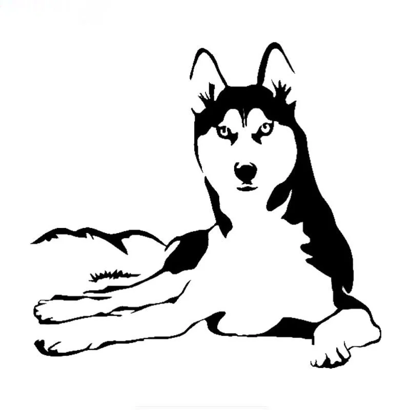 Dogs Are Man's Most Loyal Friends. for Dog Lovers, and Of Course There Are Also Waterproof Dogs Stickers That Cover Scratches.
Dogs Are Man's Most Loyal Friends. for Dog Lovers, and Of Course There Are Also Waterproof Dogs Stickers That Cover Scratches.