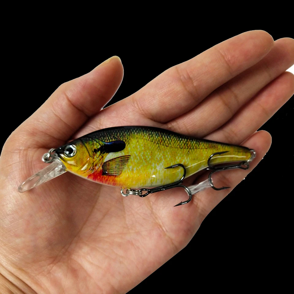 FISH Professional 3D Eyes Fishing Lure Suspend Wobbler Minnow 0.3-1m Bass Pike Bait Fishing Tackle Hard Bait
FISH Professional 3D Eyes Fishing Lure Suspend Wobbler Minnow 0.3-1m Bass Pike Bait Fishing Tackle Hard Bait