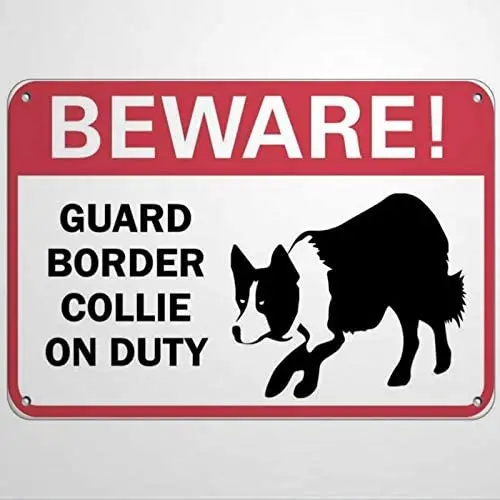 Warning Sign Beware! Guard Border Collie On Duty Pet Animal Sign Road Sign Business Sign Warning Signs Metal Sign
Warning Sign Beware! Guard Border Collie On Duty Pet Animal Sign Road Sign Business Sign Warning Signs Metal Sign