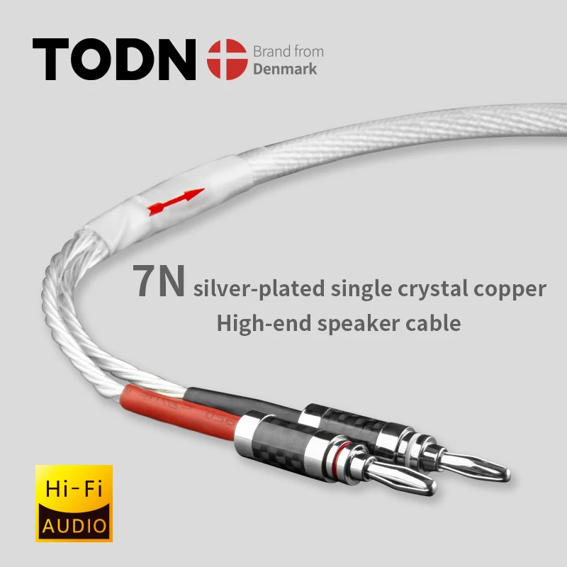 

TODN One Pair HIFI Silver-plated Speaker Cable Hi-end 7N OCC Speaker Wire For Hi-fi Systems Y Plug Banana plug Speaker Cable