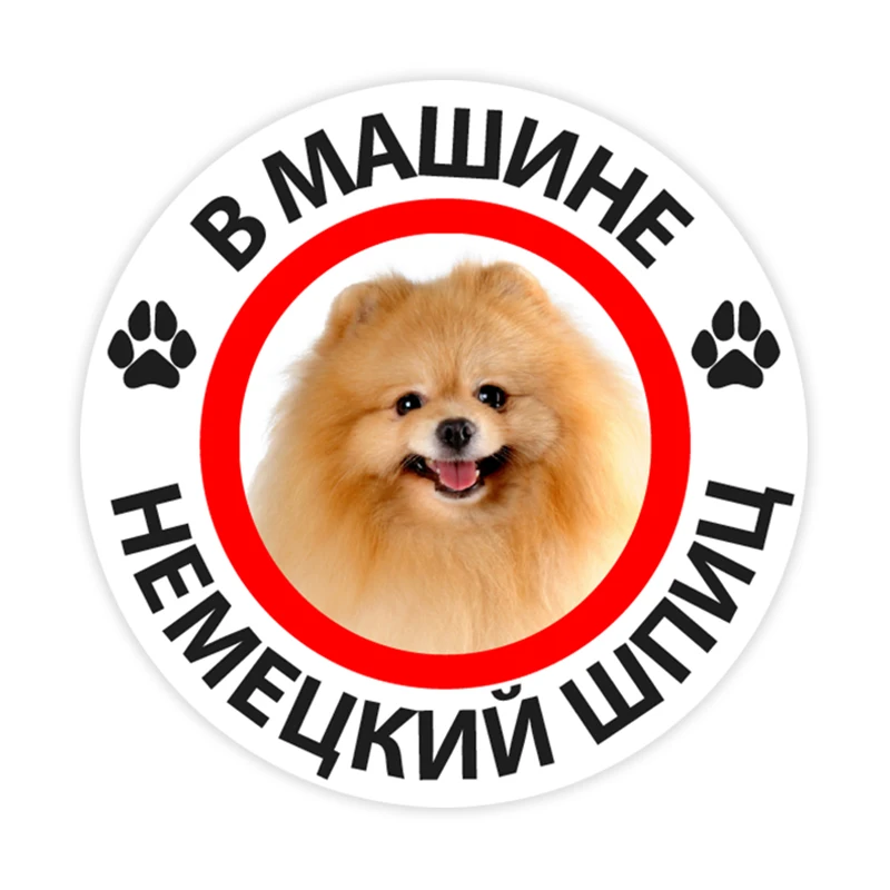 B0272 #10/13/15 см немецкий шпиц в автомобиле, самоклеящаяся ПВХ наклейка, автомобильная наклейка, водонепроницаемые Автомобильные украшения на бампер, заднее окно
B0272 #10/13/15 см немецкий шпиц в автомобиле, самоклеящаяся ПВХ наклейка, автомобильная наклейка, водонепроницаемые Автомобильные украшения на бампер, заднее окно