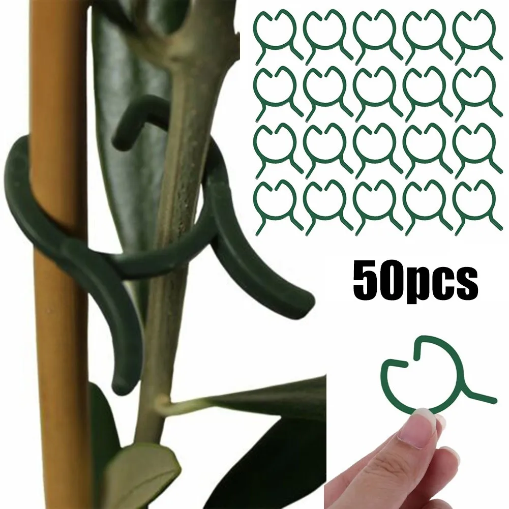 50 Plastic Plant Clips Supports Connects Expandable Reusable Plastic Plant Stays Fasteners Plant For Vegetable Tomato
50 Plastic Plant Clips Supports Connects Expandable Reusable Plastic Plant Stays Fasteners Plant For Vegetable Tomato