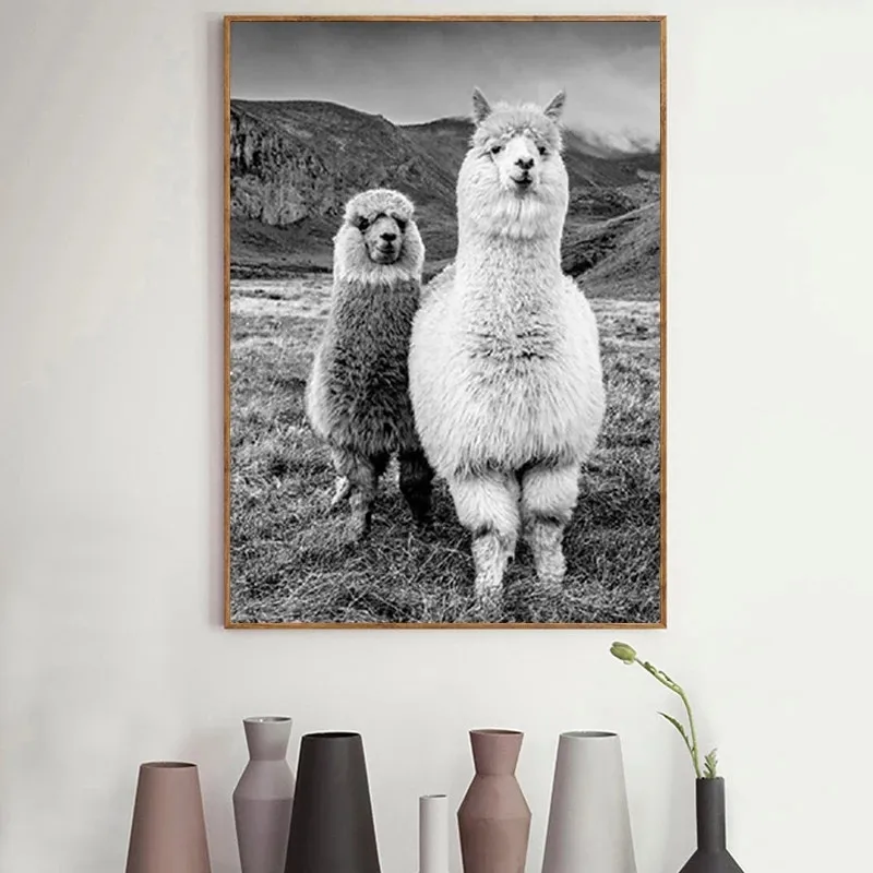 Black and White Animal Alpaca Poster Canvas Art Painting Prints Wall Art Nursery Picture Llama Kids Room Decor Unframed
Black and White Animal Alpaca Poster Canvas Art Painting Prints Wall Art Nursery Picture Llama Kids Room Decor Unframed