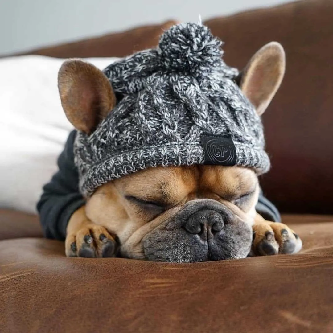 Winter Warm Windproof Knitted Pet Dog Hat Cat Dog Accessories for Small Medium Dogs Dog Birthday Christmas Gift Dog Helmet
Winter Warm Windproof Knitted Pet Dog Hat Cat Dog Accessories for Small Medium Dogs Dog Birthday Christmas Gift Dog Helmet